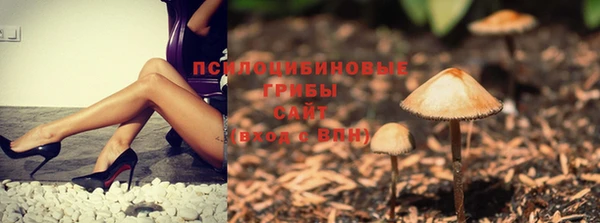 ГАЛЛЮЦИНОГЕННЫЕ ГРИБЫ Алзамай