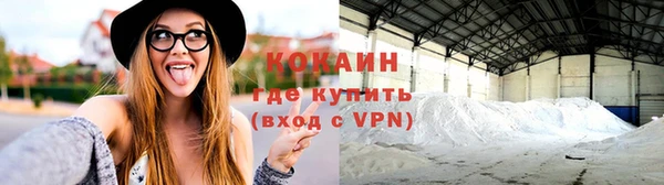 тгк Абаза