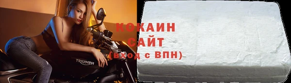 тгк Абаза