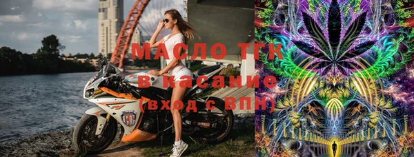 мет Алексин