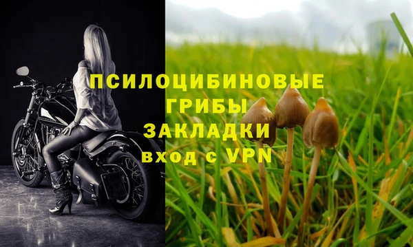 МДПВ Абинск