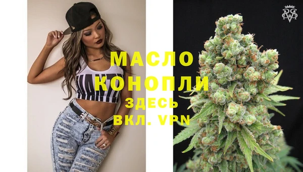 тгк Абаза