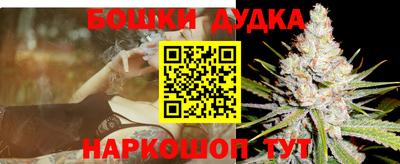 амф Обь
