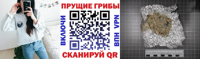 Галлюциногенные грибы ЛСД omg вход Хабаровск маркетплейс официальный сайт где найти наркотики