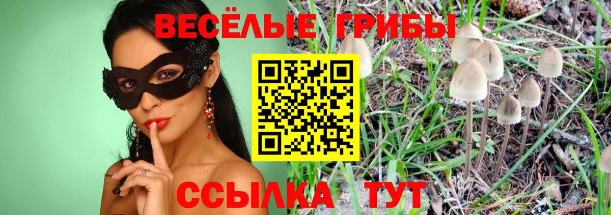 где найти наркотики  Вход с VPN  Псилоцибиновые грибы Cubensis  Хабаровск  Псилоцибиновые грибы MAGIC MUSHROOMS 